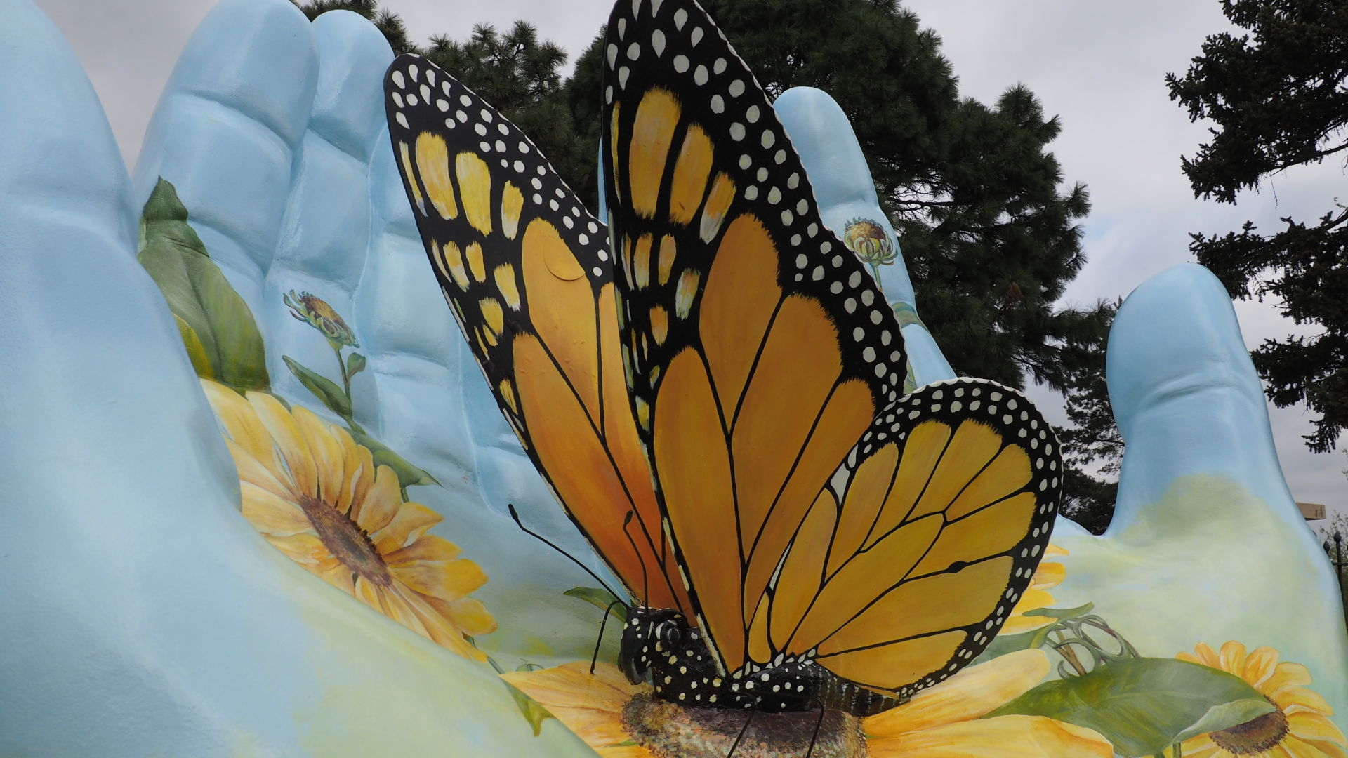 25. Monarch Butterfly - Metamorphosis of Life